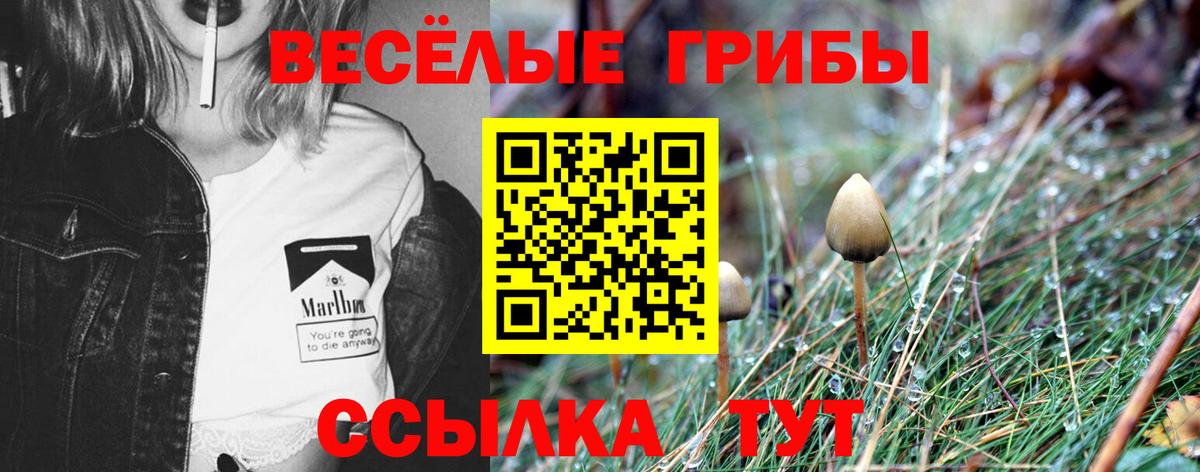 Железногорск  Псилоцибиновые грибы ЛСД  Вход с VPN  Галлюциногенные грибы ЛСД 